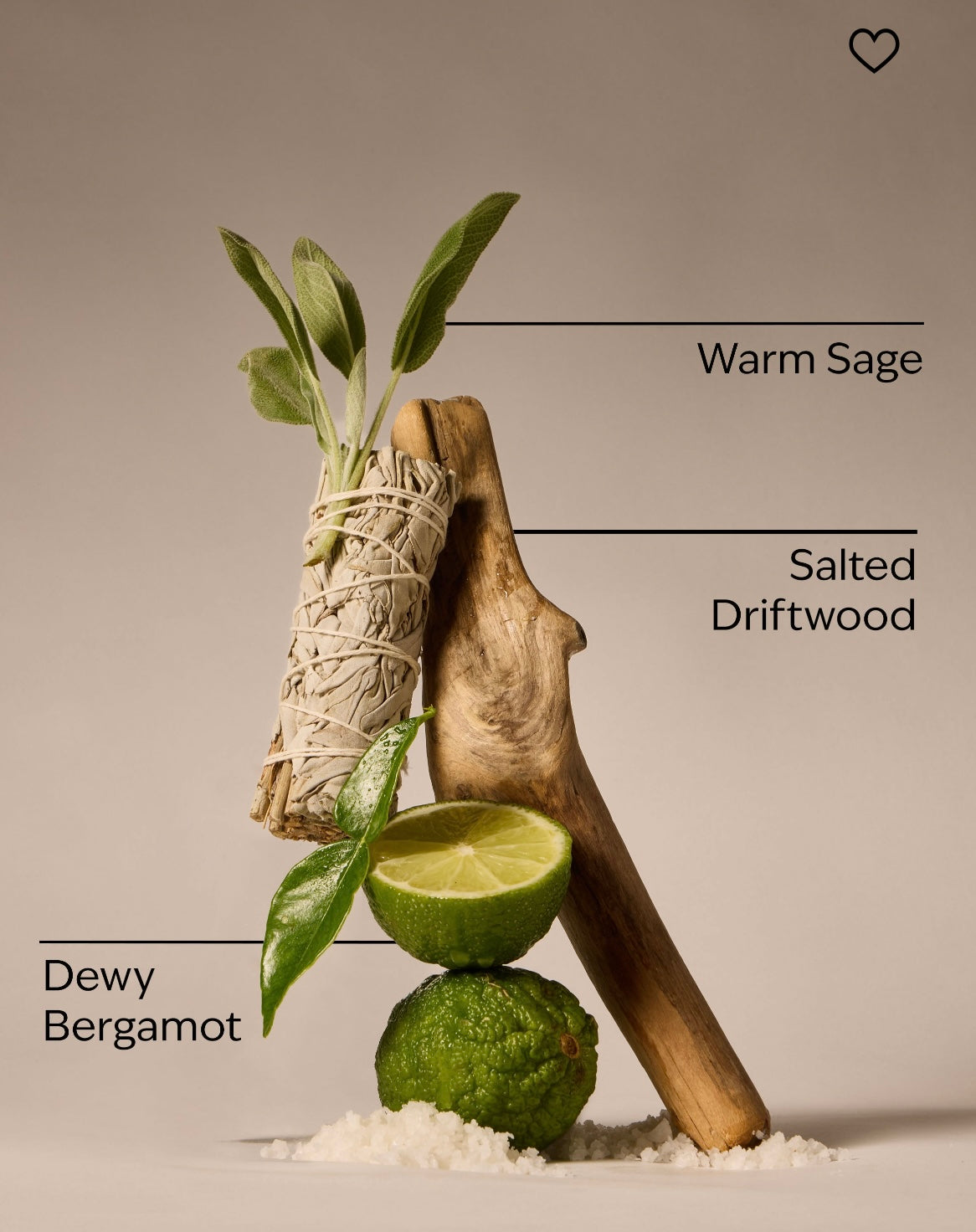 BATH & BODY WORKS Salted Shorelines Body Mist 236ml