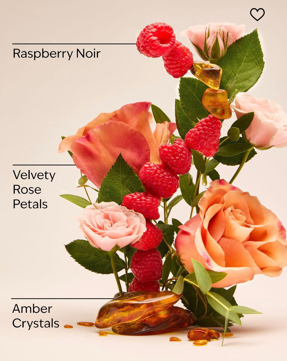 BATH & BODY WORKS Into the Night Body Mist 236ml