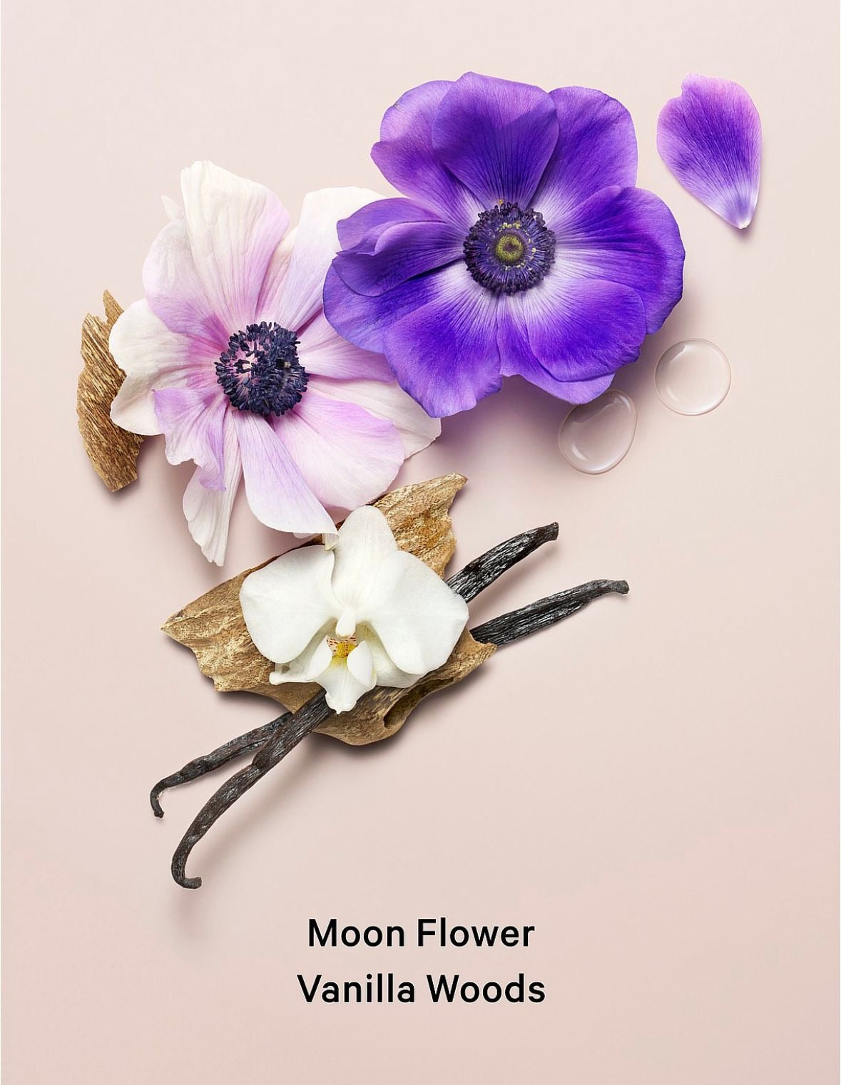 Set Victoria's Secret: Midnight Bloom – La Magia de la Noche en tu Piel