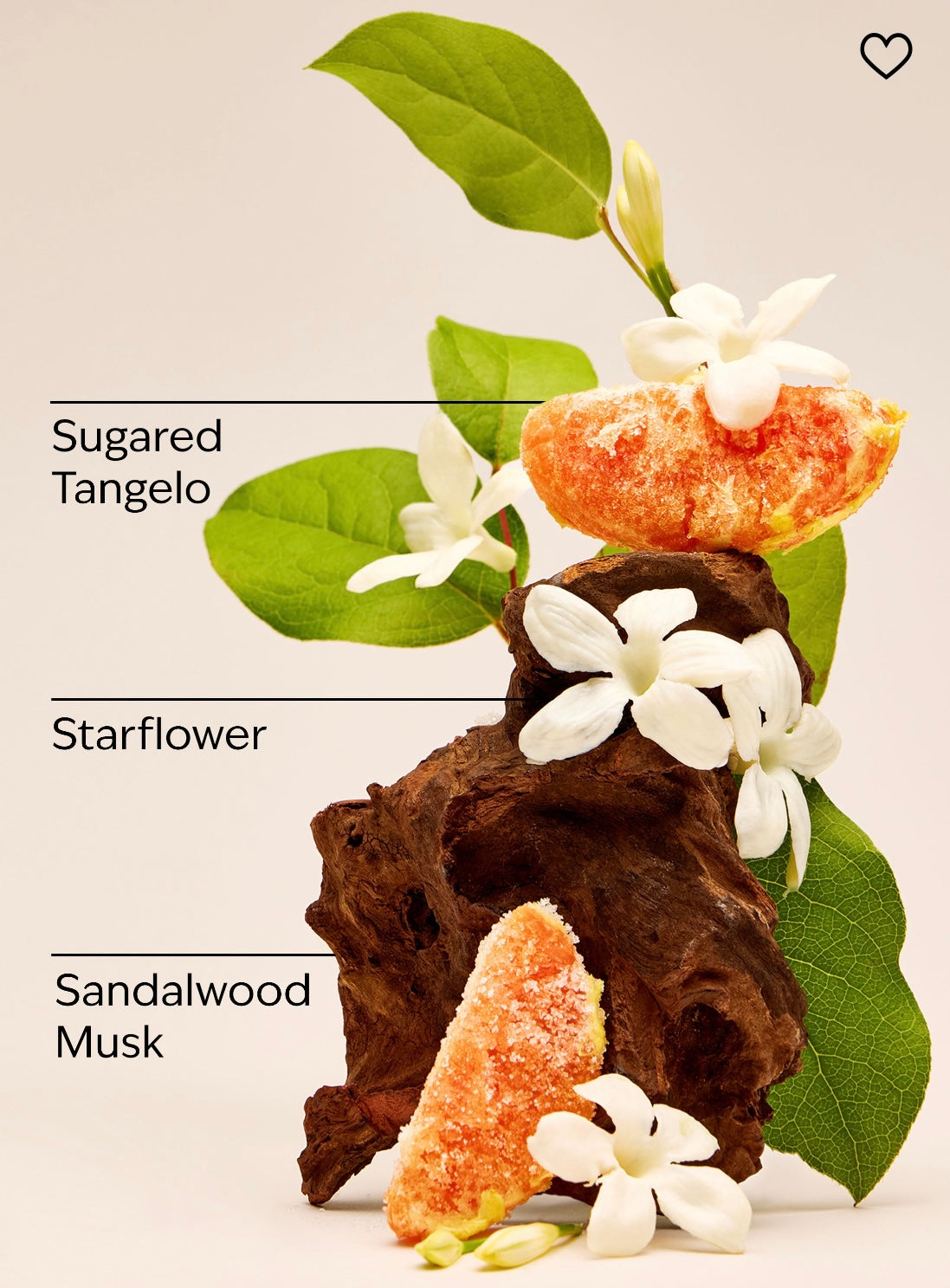 In the Stars Ultimate Hydration Body Cream