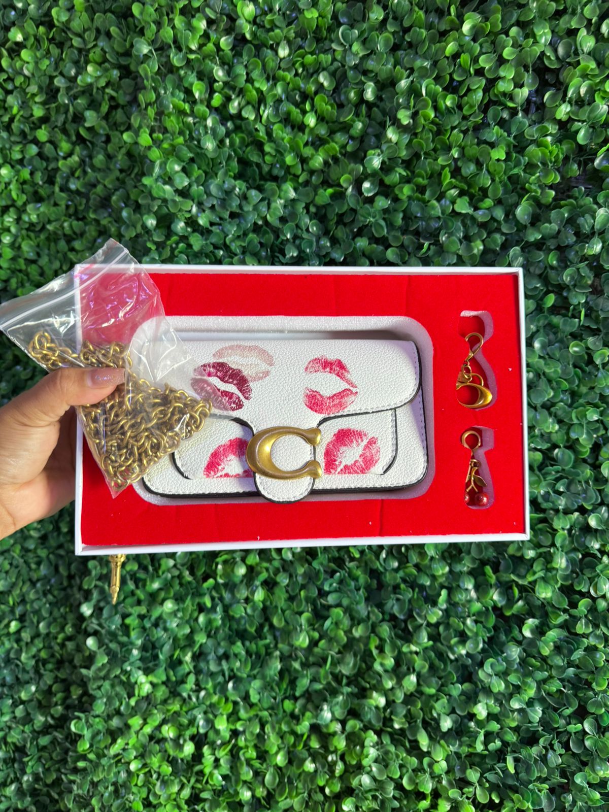 A BOLSA INSPIRACION COACH