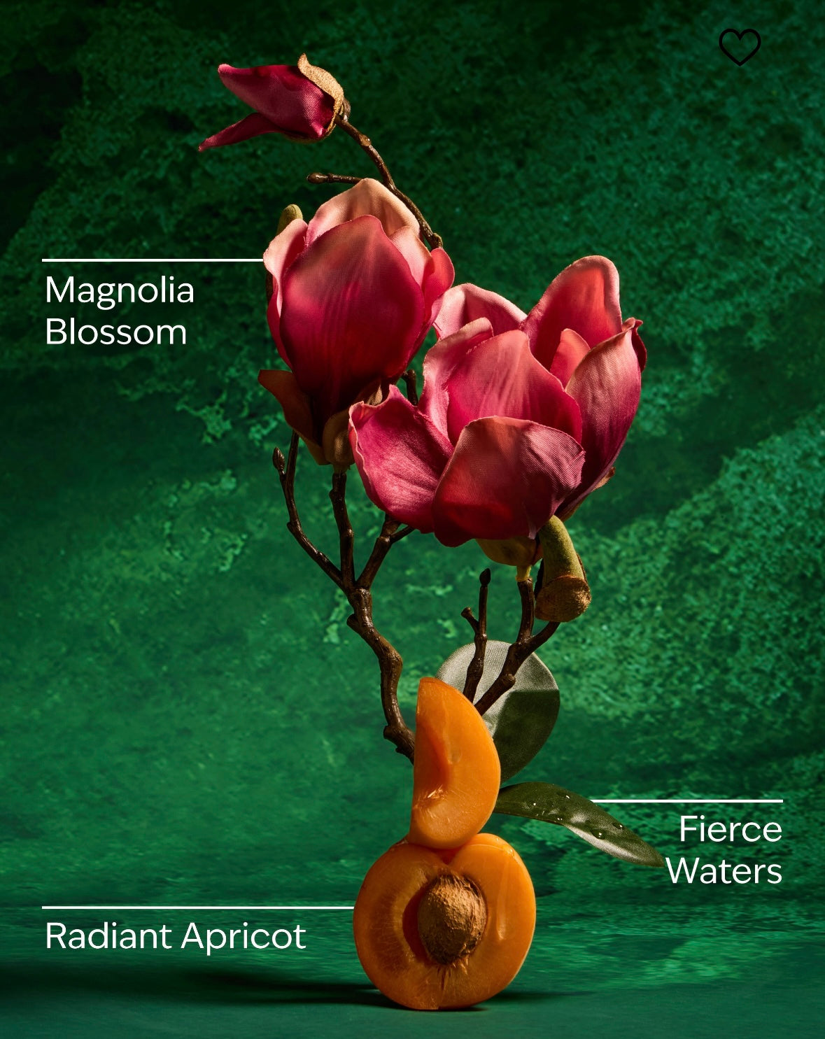 Mulan Gentle & Clean Foaming Hand Soap