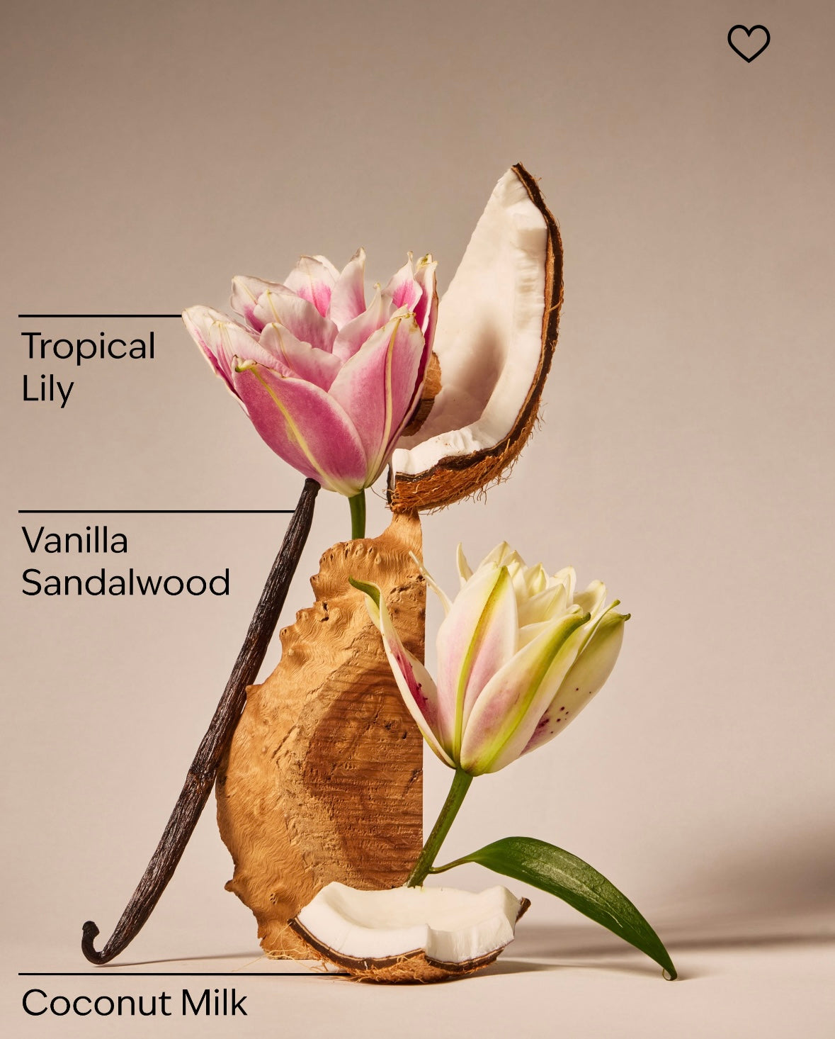 BATH & BODY WORKS Eau De Coconut  Body Mist 236ml