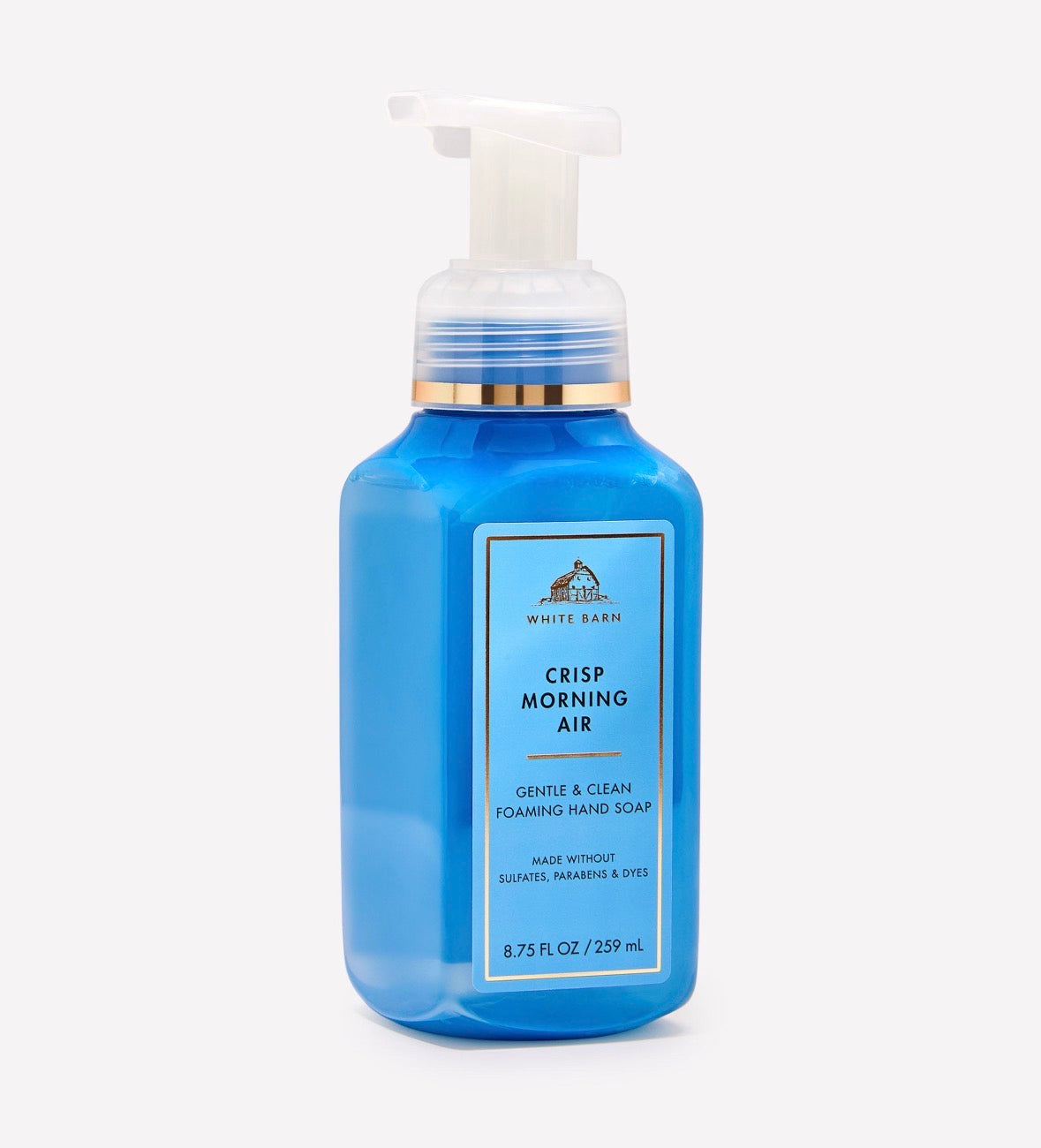 💙 Bath & Body Works Crisp Morning Air Jabón de Manos en Espuma 259 ml