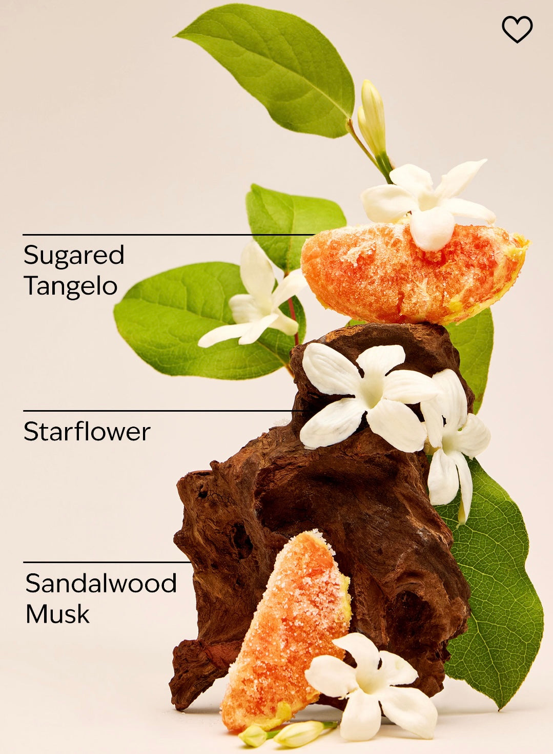 In the Stars Fine Fragrance Mist