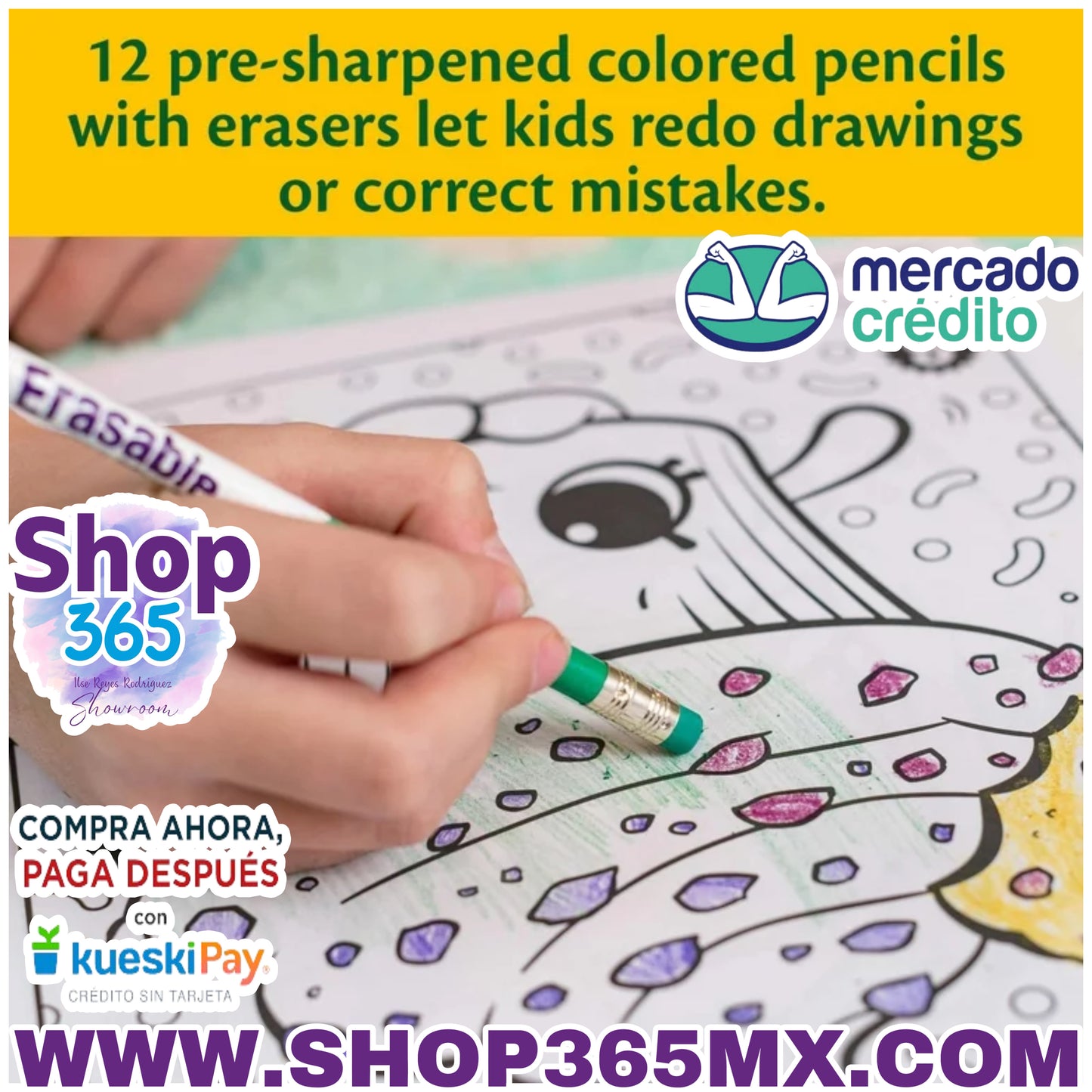 Juego de lápices de colores borrables Crayola, 12 colores, niño principiante