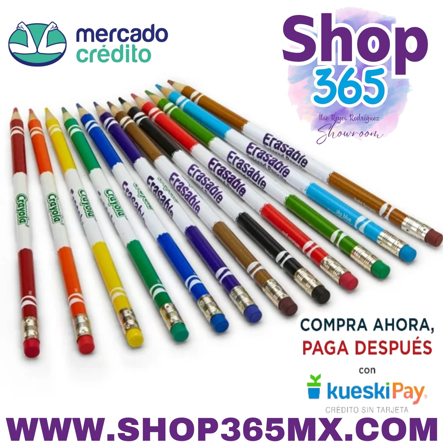 Juego de lápices de colores borrables Crayola, 12 colores, niño principiante