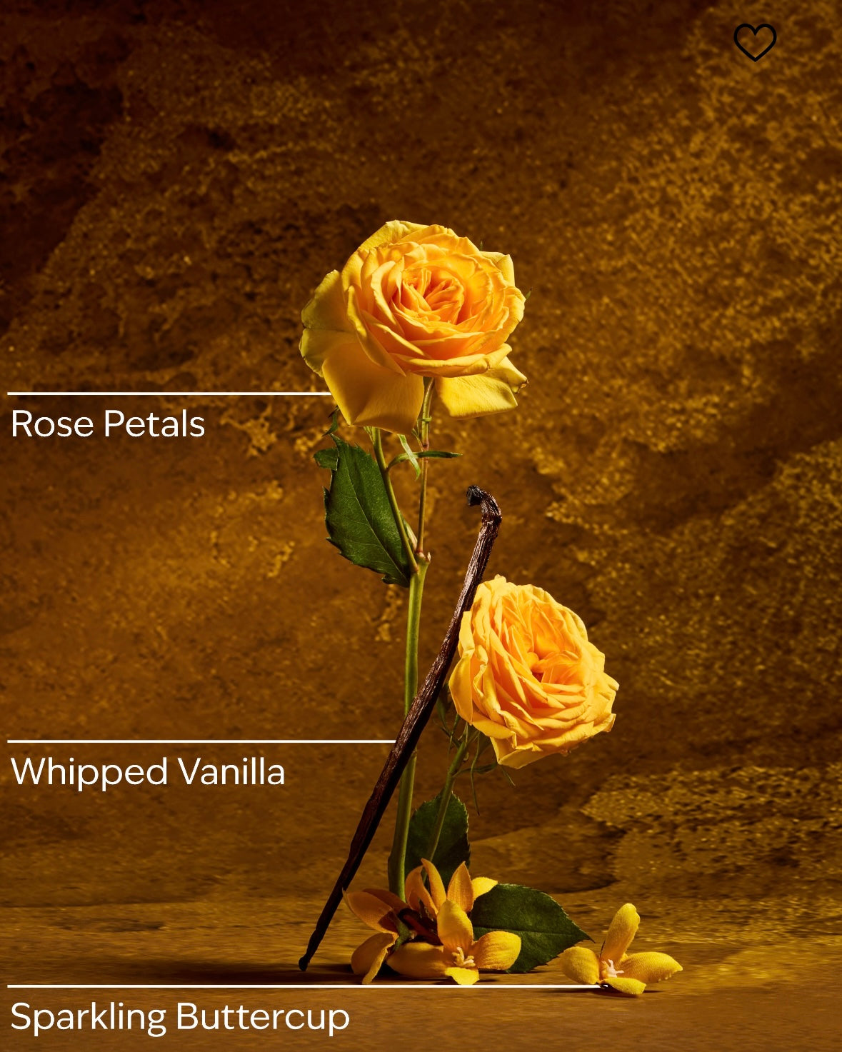 Belle Gentle & Clean Foaming Hand Soap