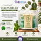 Vela Stress Relief Eucalyptus + Spearmint 3 Mechas Bath & Body Works Aromatherapy – 14.5 oz / 411 g