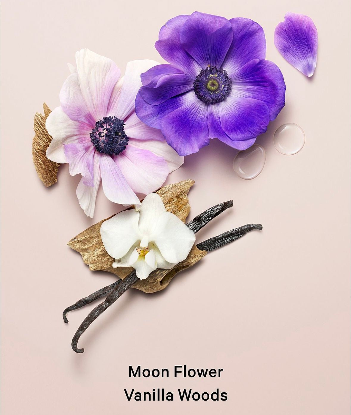 Set Victoria's Secret: Midnight Bloom – La Magia de la Noche en tu Piel