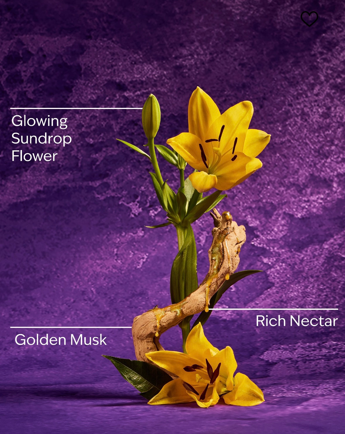 Rapunzel Gentle & Clean Foaming Hand Soap