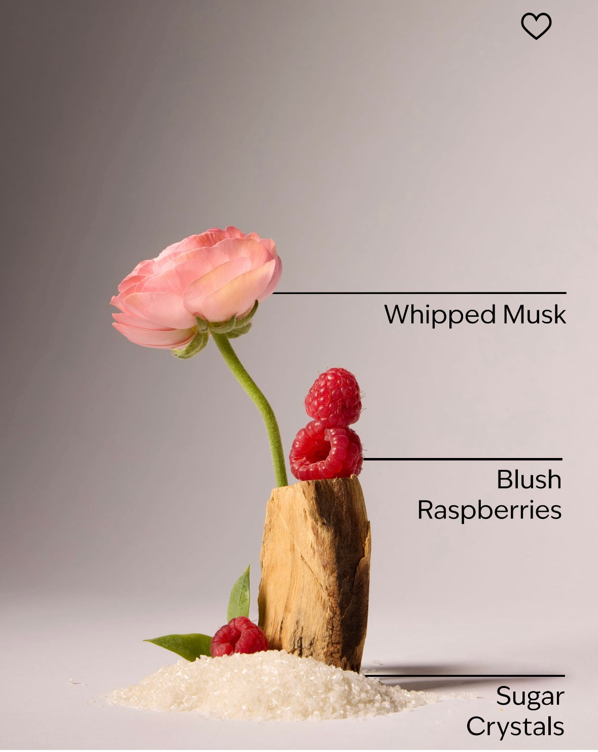 Sweetest Song Fine Fragrance Mist