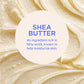 Victoria’s Secret Vanilla Bean Macadamia Cream Body Wash 296 ml