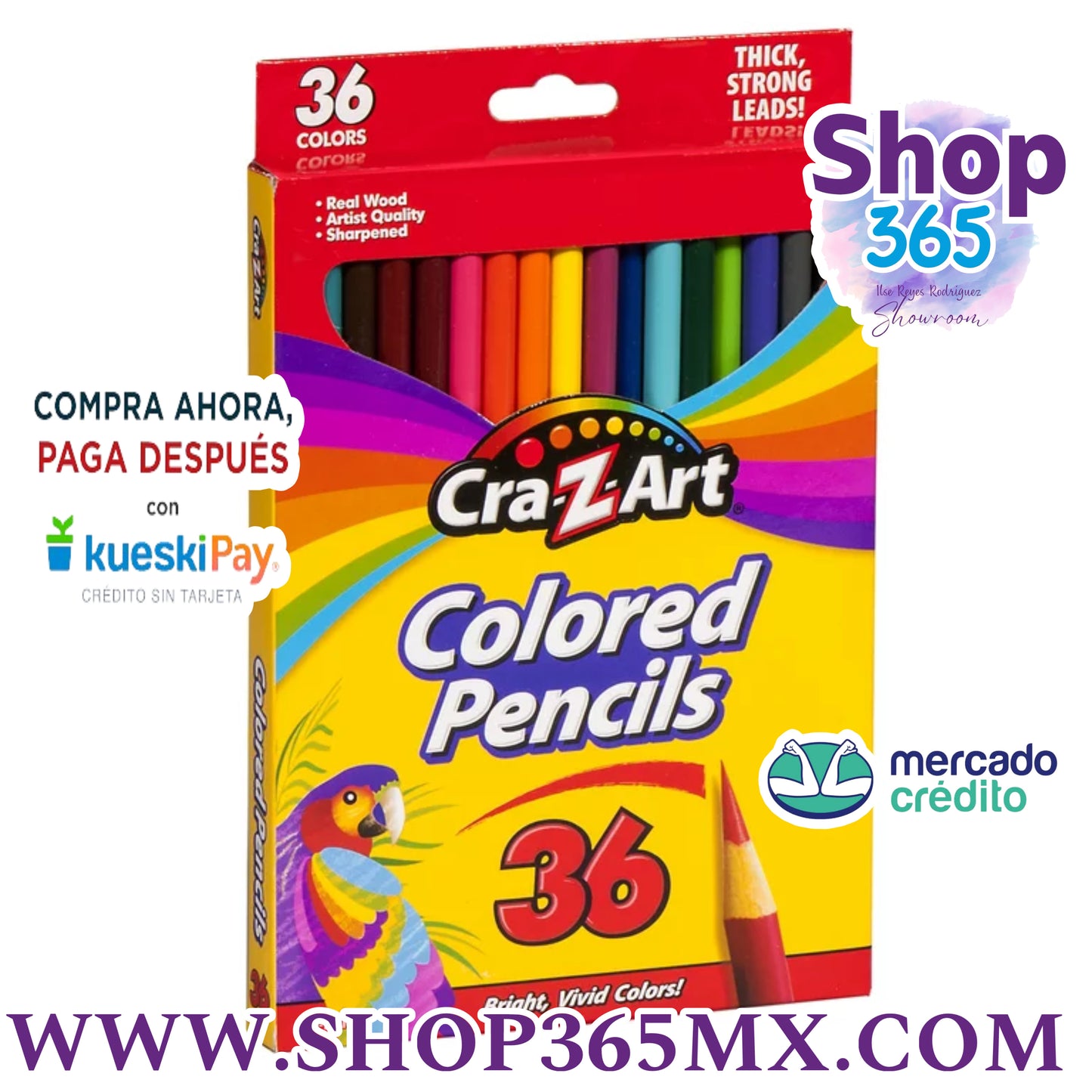 Cra-Z-Art Lápices de colores de 36 unidades, para principiantes y adultos, suministros para el regreso a la escuela