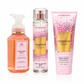Champagne Toast Set – Bath & Body Works 3 PZAS