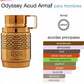 Odyssey Aoud de Armaf
