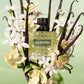 Valentino Donna Born In Roma Green Stravaganza Woman 50ml