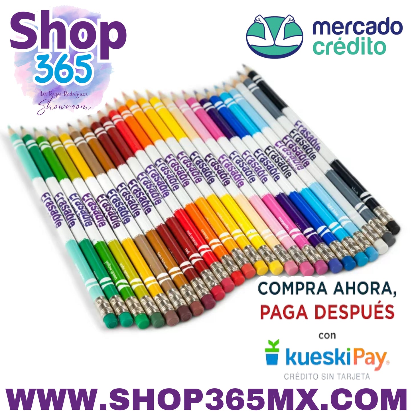 Lápices de colores borrables Crayola, 24 unidades, útiles escolares para adolescentes, herramientas de arte, coloración para adultos