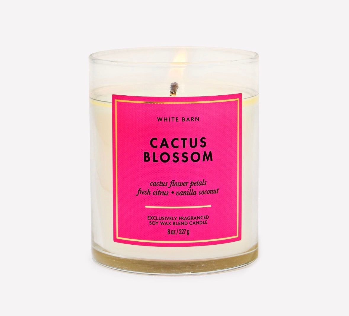 Cactus Blossom – Vela Aromática 1 Mecha White Barn 8 oz / 227 g