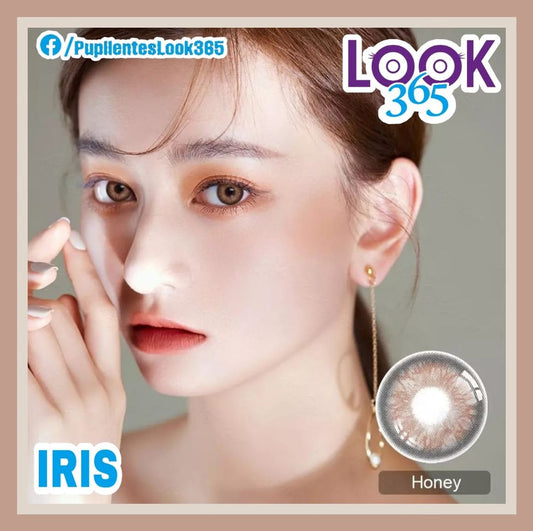 HONEY IRIS