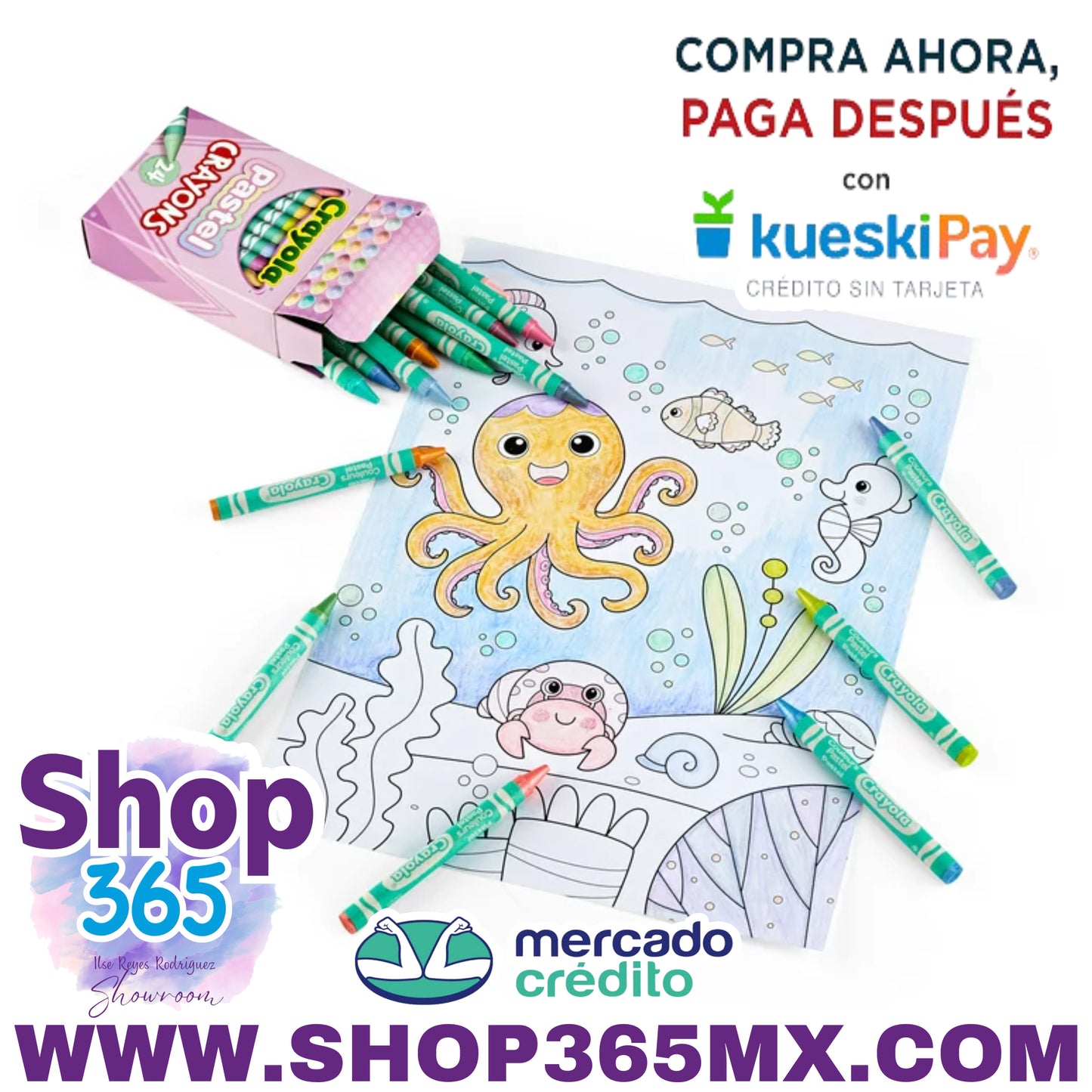 Crayola Crayones pastel de 24 quilates, útiles escolares, artículos de arte, regalos creativos para niños a partir de 3 años