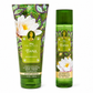 BATH & BODY WORKS Set Tiana Body Mist + Body Lotion