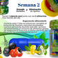Bypass Reseteo Metabolico
